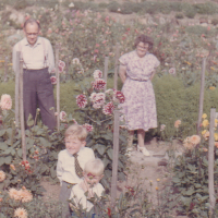 Allotment in Barking
