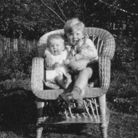 The garden in Argyle Road