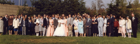 Everyone at the wedding