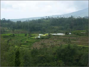 Bali view.... wonderful