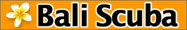 Bali scuba logo Bali scuba logo