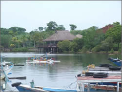 View from the pool @ menjangan