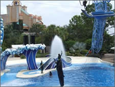 Seaworld show - divers