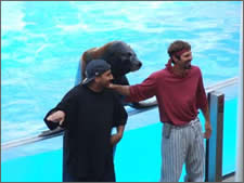 Seymour & Clyde show - patsy!!