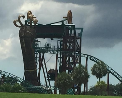 Image of Cobra's Curse from the back Image of Cobra's Curse from the back