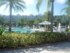 View of the pool from the back View of the pool from the back