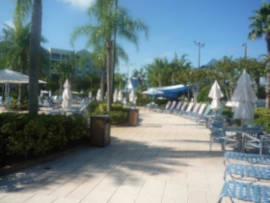 View of the pool from the side View of the pool from the side